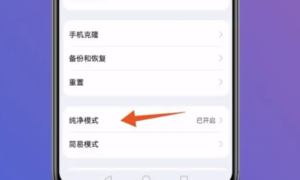 华为关闭纯净模式在哪里,华为纯净模式怎么关闭图3