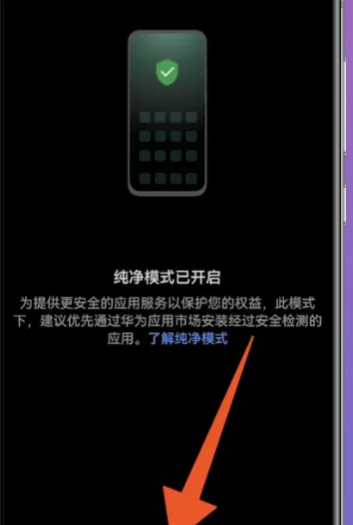 华为关闭纯净模式在哪里,华为纯净模式怎么关闭图9