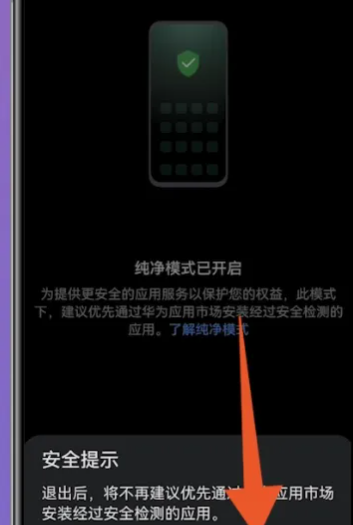华为关闭纯净模式在哪里,华为纯净模式怎么关闭图10