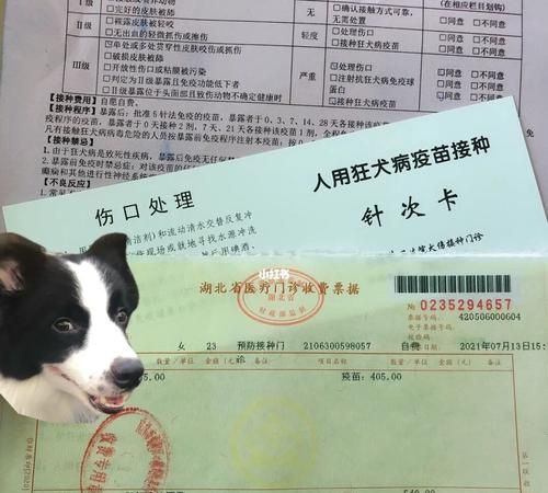 肇庆在哪里打狂犬疫苗,北京哪里能打狂犬疫苗图3