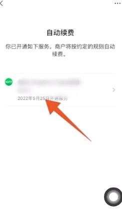 微信在哪里关闭自动扣费,怎么关闭微信自动扣费功能图11