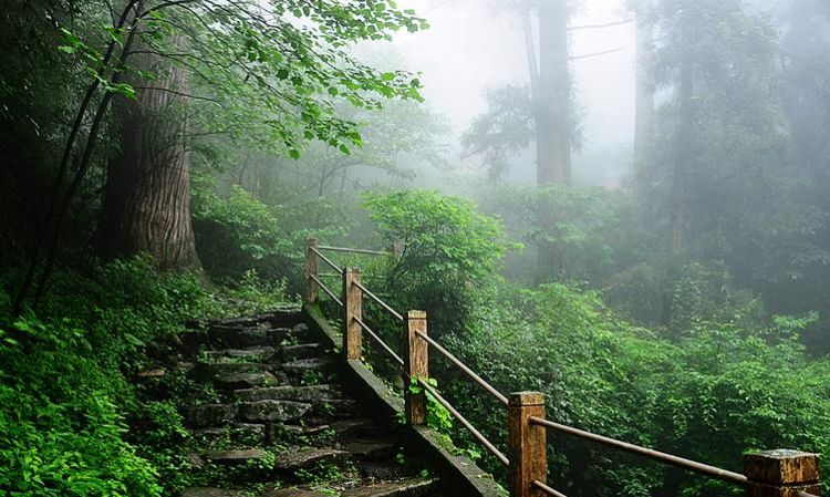 天目山在哪里,天目山在哪里哪个城市图3