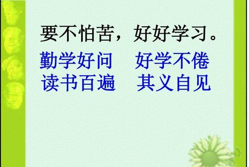 读书百遍的下一句,读书百遍的下一句是什么一年级图3