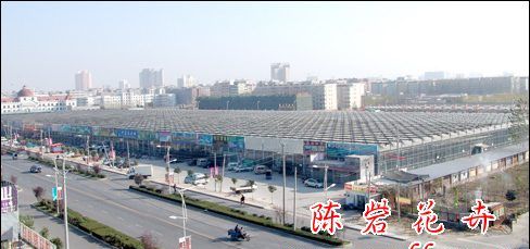 郑州花卉批发市场在哪里,郑州市花鸟市场在哪个地方图3