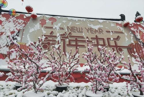 瑞雪兆丰年的上一句和下一句,瑞雪兆丰年的上一句和下一句分别是什么图4