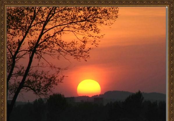 夕阳无限好下一句,夕阳无限好的前一句图4