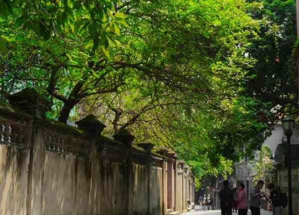 厦门鼓浪屿在哪里,鼓浪屿在哪里个城市哪个省图1