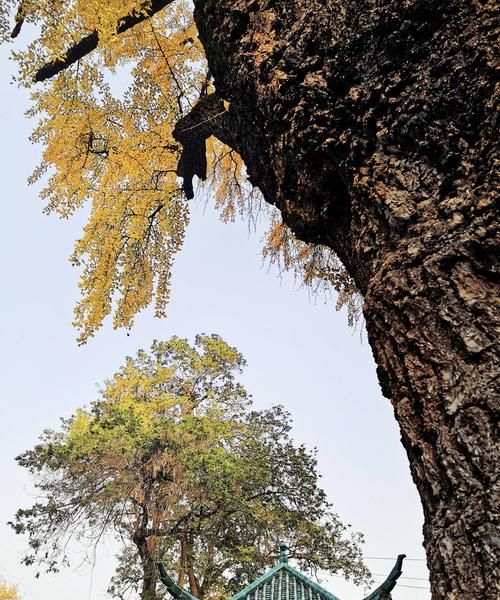 晴川历历汉阳树的下一句,晴川历历汉阳树意思是什么图1