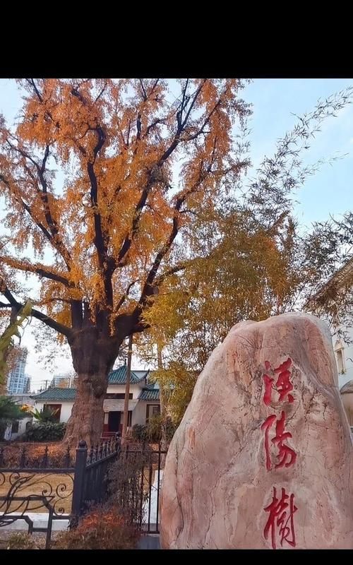 晴川历历汉阳树的下一句,晴川历历汉阳树意思是什么图2