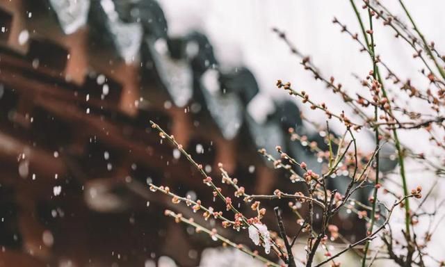 风花雪月下一句,你有你的风花雪月下一句是什么意思图4