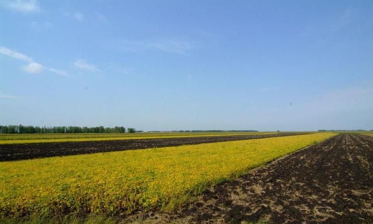 北大荒在哪里,北大荒医院地址在哪里图4