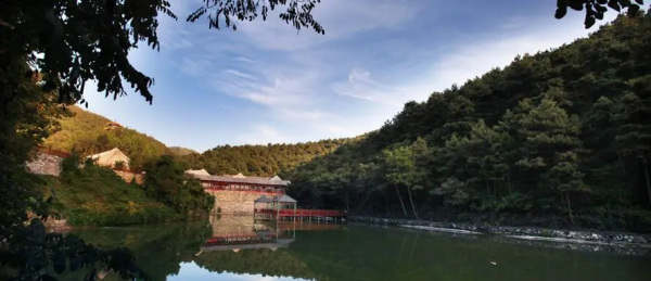 九龙山在哪里,宝鸡九龙山景区在哪里图1