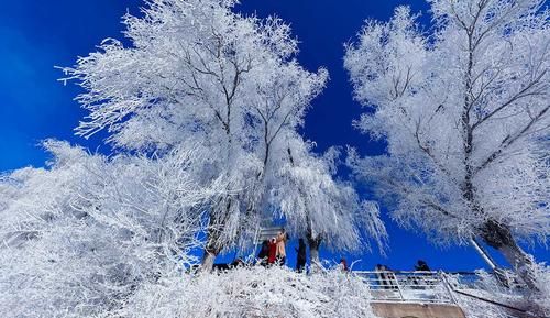 银装素裹下一句,北国风光千里雪飘全诗书法图2