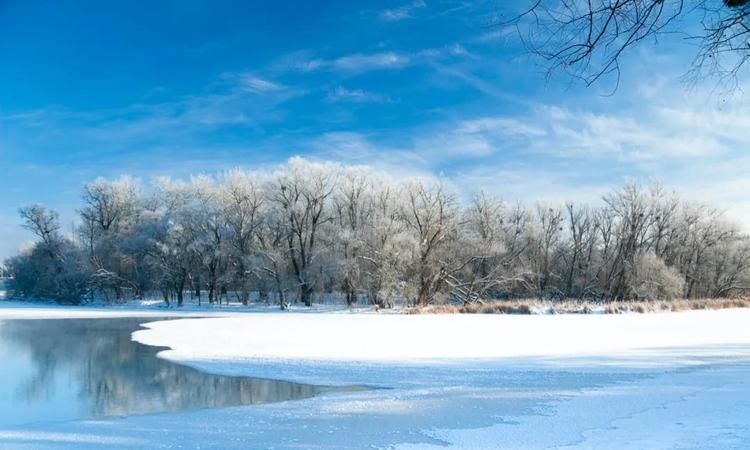 银装素裹下一句,北国风光千里雪飘全诗书法图3