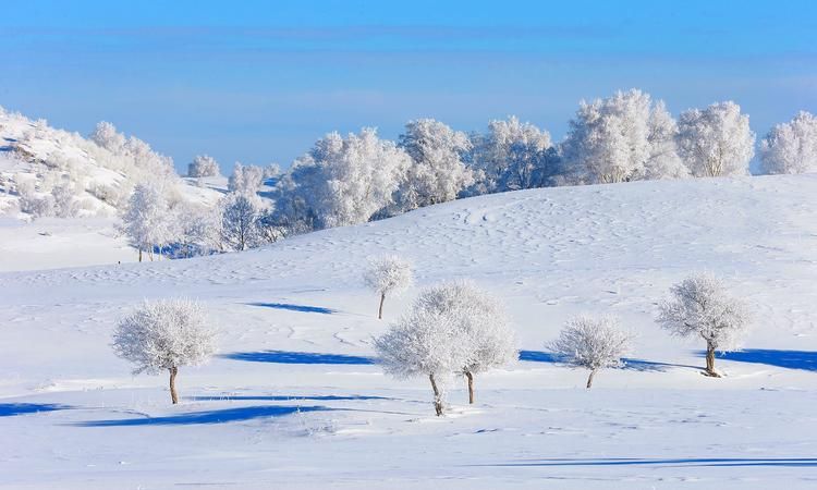 银装素裹下一句,北国风光千里雪飘全诗书法图4