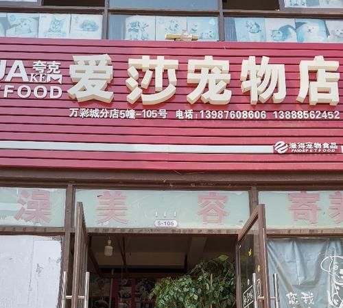 宠物店在哪里,怎么查找附近足疗店图3