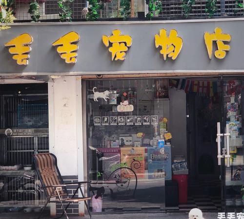 宠物店在哪里,怎么查找附近足疗店图4