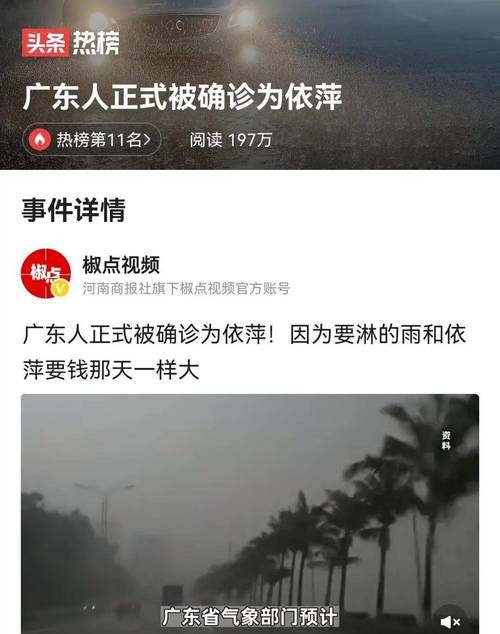 狂风暴雨下一句,狂风暴雨终有时图4