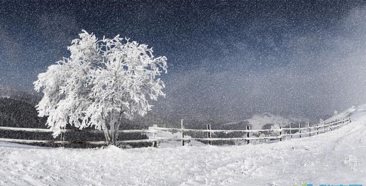 大雪纷飞下一句,大雪纷飞何所似 未若柳絮因风起什么意思图2