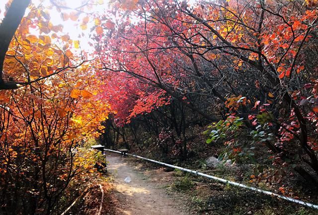 翻山越岭下一句,大山深处翻山越岭下一句是什么意思图1