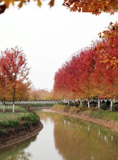 邳县在哪里,邳州市属于哪里的城市图1