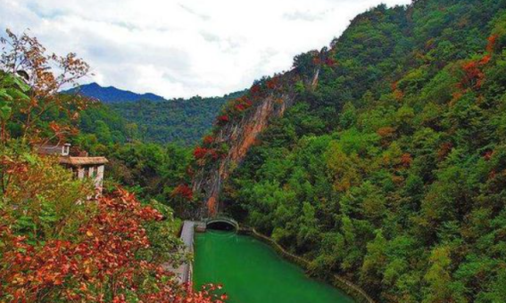 柞水红叶在哪里,秦岭黄花岭红叶什么时候最红的图8