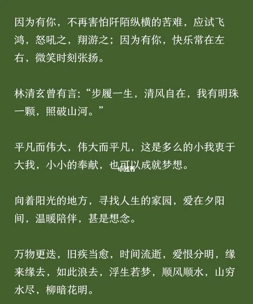 木槿昔年下一句是什么,木槿昔年浮生未歇柠月如风扶摇可接图3