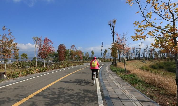 邛海在哪里租自行车,邛海小渔村湿地风光3D图2