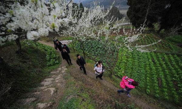 芬芳馥郁下一句是什么,芬芳馥郁引人来下一句图2