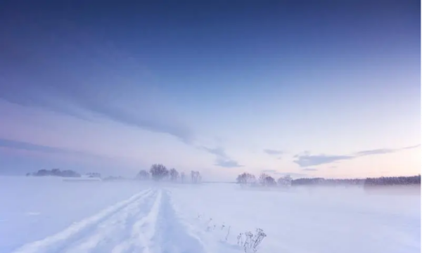 雪来大地一片白下一句,关于雪的喜庆诗句图1