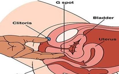 g点在哪里,男性的g点在什么位置