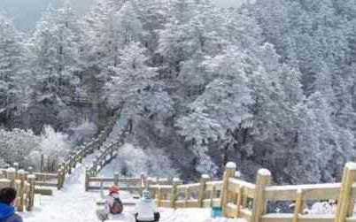 西岭雪山在哪里,西岭雪山在哪里