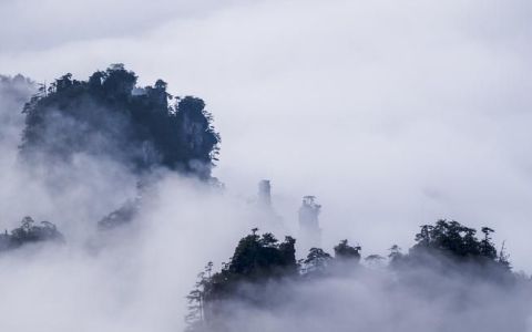 雾锁山头山锁雾的下一句,雾锁山头山锁雾的下一句是啥