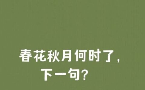 春花秋月何时了的下一句,春花秋月何时了下一句