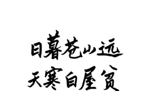 日暮苍山远下一句,古诗日暮苍山远的下一句是什么