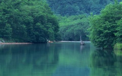 青山绿水下一句,青山绿水下一句