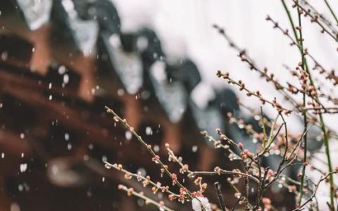 风花雪月的下一句,你就是人间的风花雪月下一句