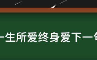 一生所爱下一句,一生所爱终身爱下一句是什么