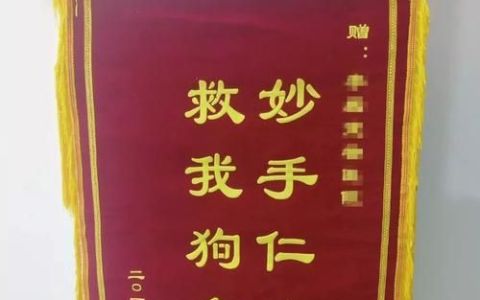 妙手回春下一句,妙手回春的前一句是什么