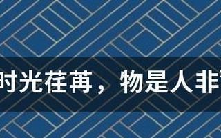 物是人非的下一句,物是人非的下一句成语是什么