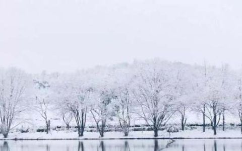 大雪纷飞下一句,大雪纷飞何所似 未若柳絮因风起什么意思