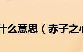 赤子之心下一句,赤子之心至诚之道的下一句是什么如题 了