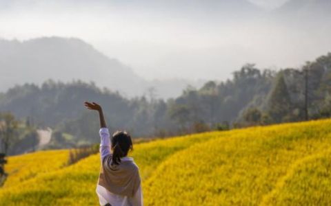 稻花香里说丰年下一句,稻花香里说丰年后面一句是什么