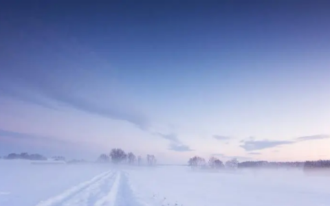 雪来大地一片白下一句,关于雪的喜庆诗句